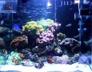 浴缸贴图-ID:103818898
