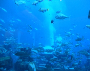 浴缸贴图-ID:879626043