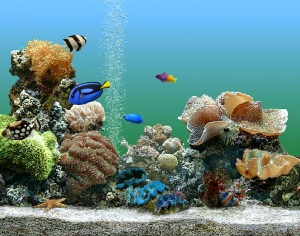 浴缸贴图-ID:612421077