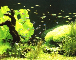 浴缸贴图-ID:906002047