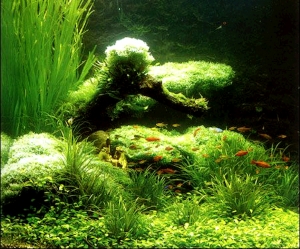 浴缸贴图-ID:602221014