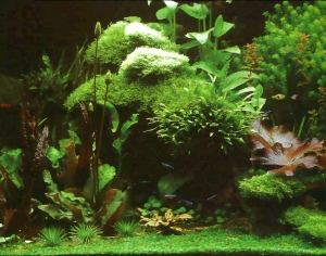 浴缸贴图-ID:932523014