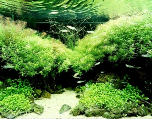 浴缸贴图-ID:998886112