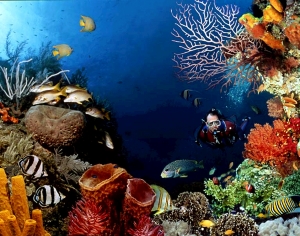 浴缸贴图-ID:637547026