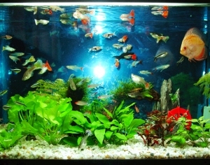 ModernNature Texture