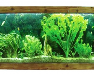浴缸贴图-ID:435625086