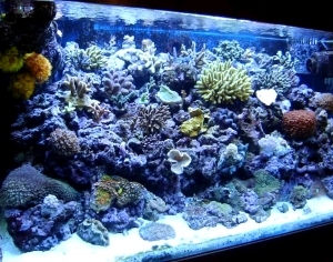 ModernNature Texture