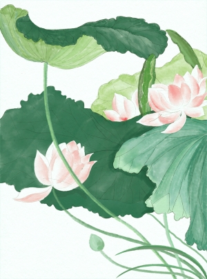 新中式荷花荷叶装饰画-ID:433438064