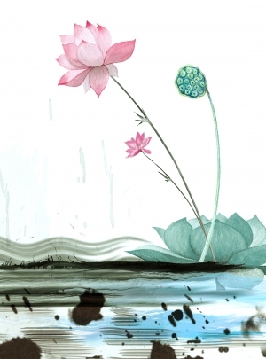 New Chinese StyleBotanical Painting