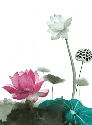 New Chinese StyleBotanical Painting