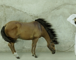 New Chinese StyleChinese Style Painting