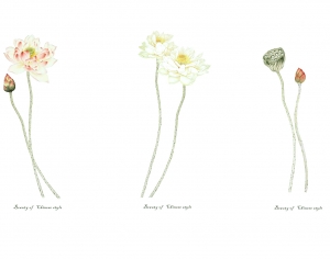 新中式花鸟壁纸壁画-ID:172606954