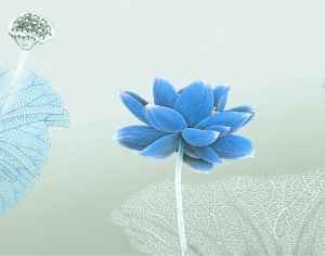 新中式花鸟壁纸壁画-ID:946407084