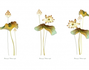 新中式花鸟壁纸壁画-ID:573441037