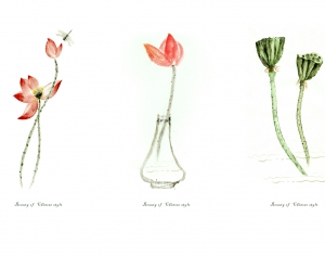 新中式花鸟壁纸壁画-ID:137833127