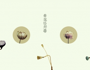 新中式花鸟壁纸壁画-ID:662225962
