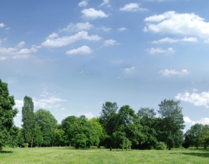 公园外景-ID:399667029