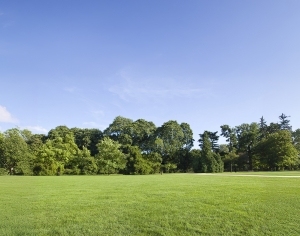 New Chinese StyleChinese Style Painting