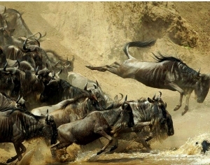 New Chinese StyleChinese Style Painting