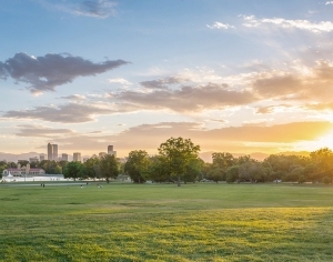 New Chinese StyleChinese Style Painting