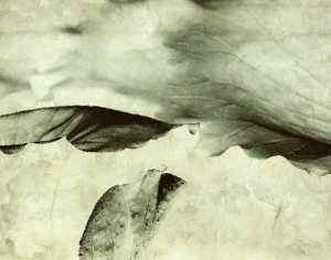 New Chinese StyleChinese Style Painting