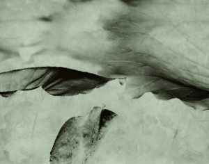 新中式水墨装饰画-ID:969089032