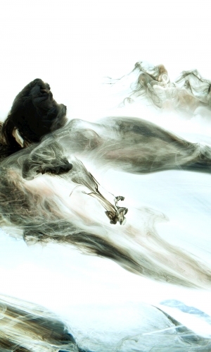 New Chinese StyleChinese Style Painting