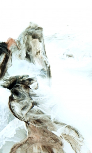 New Chinese StyleChinese Style Painting