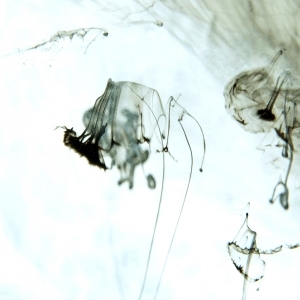 New Chinese StyleChinese Style Painting