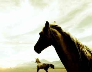 ModernAnimal Painting