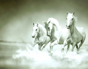 ModernAnimal Painting