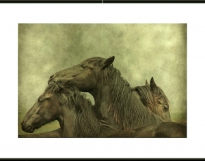 European StyleFigure Painting