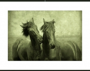 ModernAnimal Painting