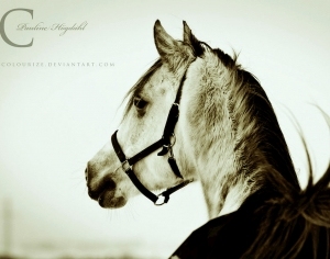 ModernAnimal Painting