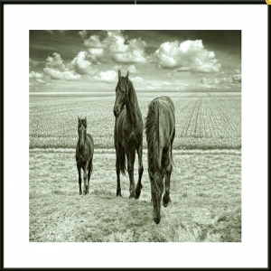 ModernAnimal Painting