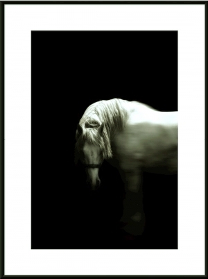 ModernAnimal Painting