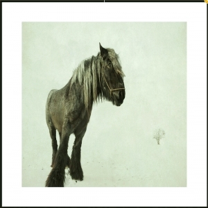 ModernAnimal Painting