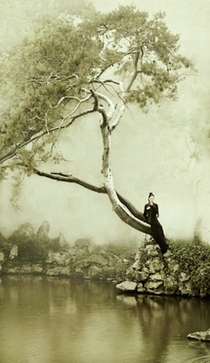 New Chinese StyleChinese Style Painting