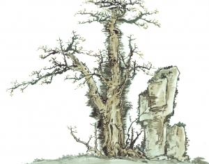 New Chinese StyleBotanical Painting