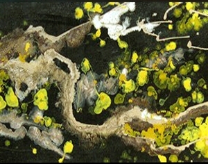 ModernAbstract Painting