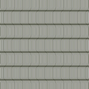 ModernBump Black And White