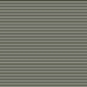 ModernBump Black And White