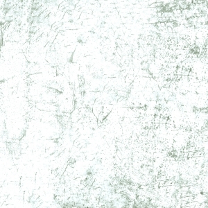 ModernBump Black And White