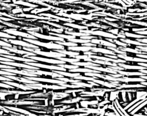 ModernBump Black And White