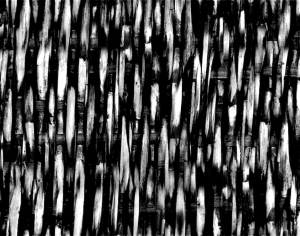 ModernBump Black And White