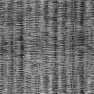 ModernBump Black And White