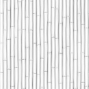 ModernBump Black And White