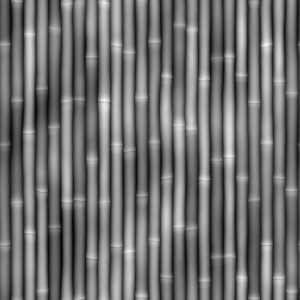 ModernBump Black And White