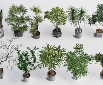 Modern Ground Green Plant Potted Plants-ID:649162051