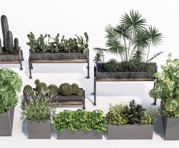 Modern Flower Bed, Flower Bowl, Flower Box-ID:151252036